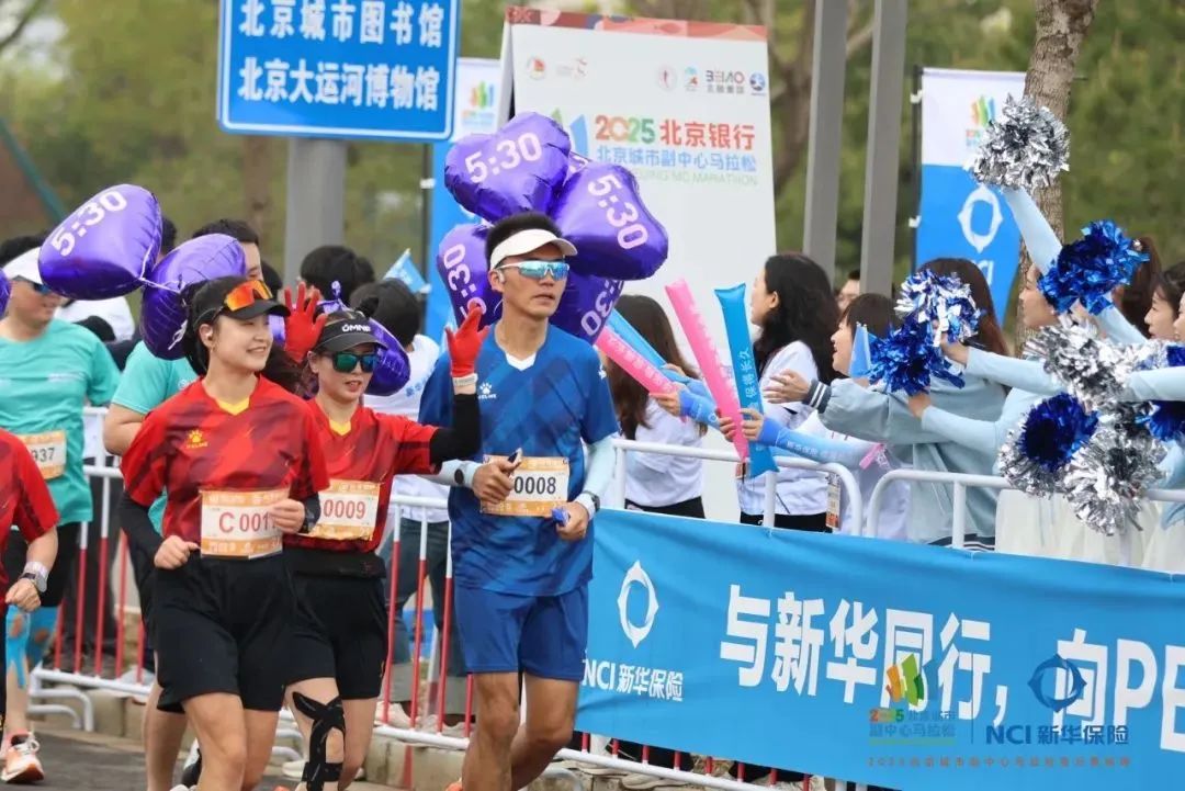 关于特色马拉松环城市，感受城市脉搏跳动的信息