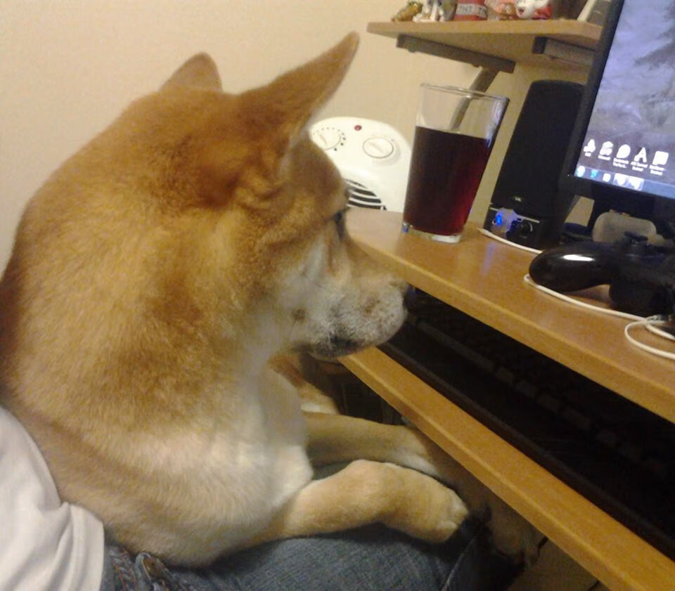 _运动员身边事：训练日常和趣味花絮_，运动员的训练生活