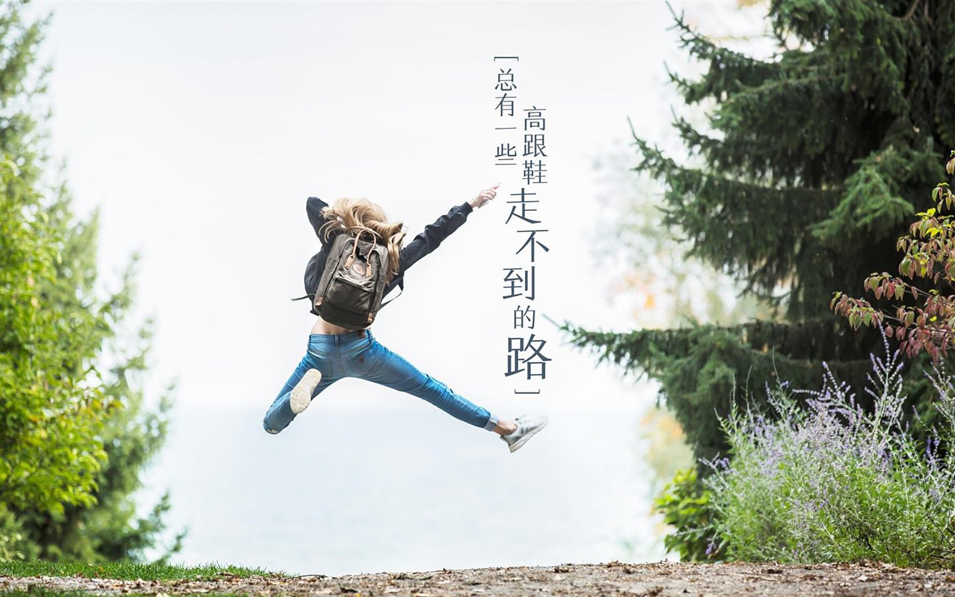 摩洛哥马术协会举办马匹护理培训班，提高骑手护理技能。，摩洛哥赛马节
