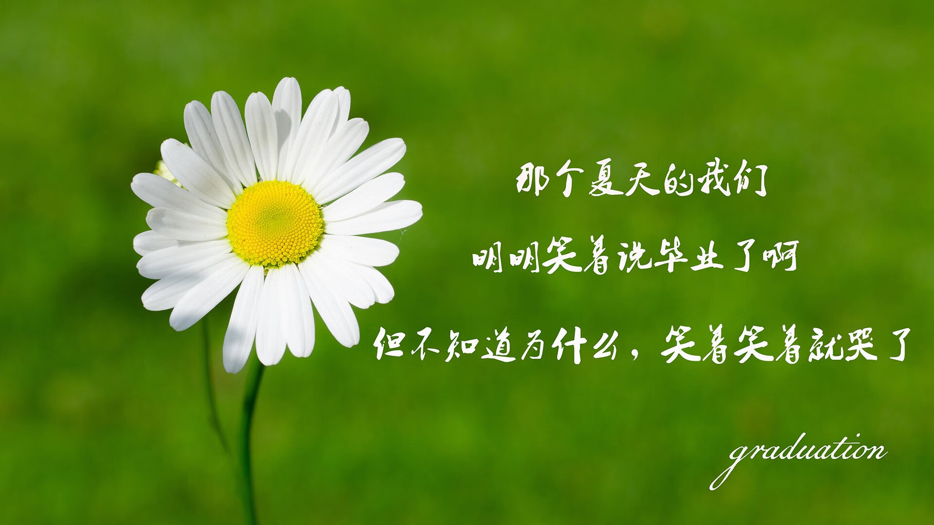 马赛夺得法国杯，球队士气高涨，法国马赛历史