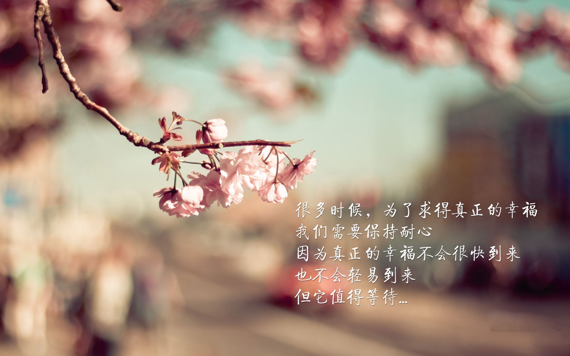 瓦朗谢纳客场轻取对手，保持不败势头，瓦朗谢纳vs尼奥尔比分预测