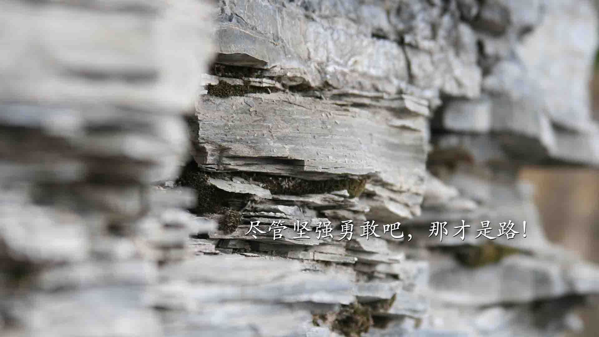 篮球运动员技术提升路径，篮球运动员技术提升路径有哪些