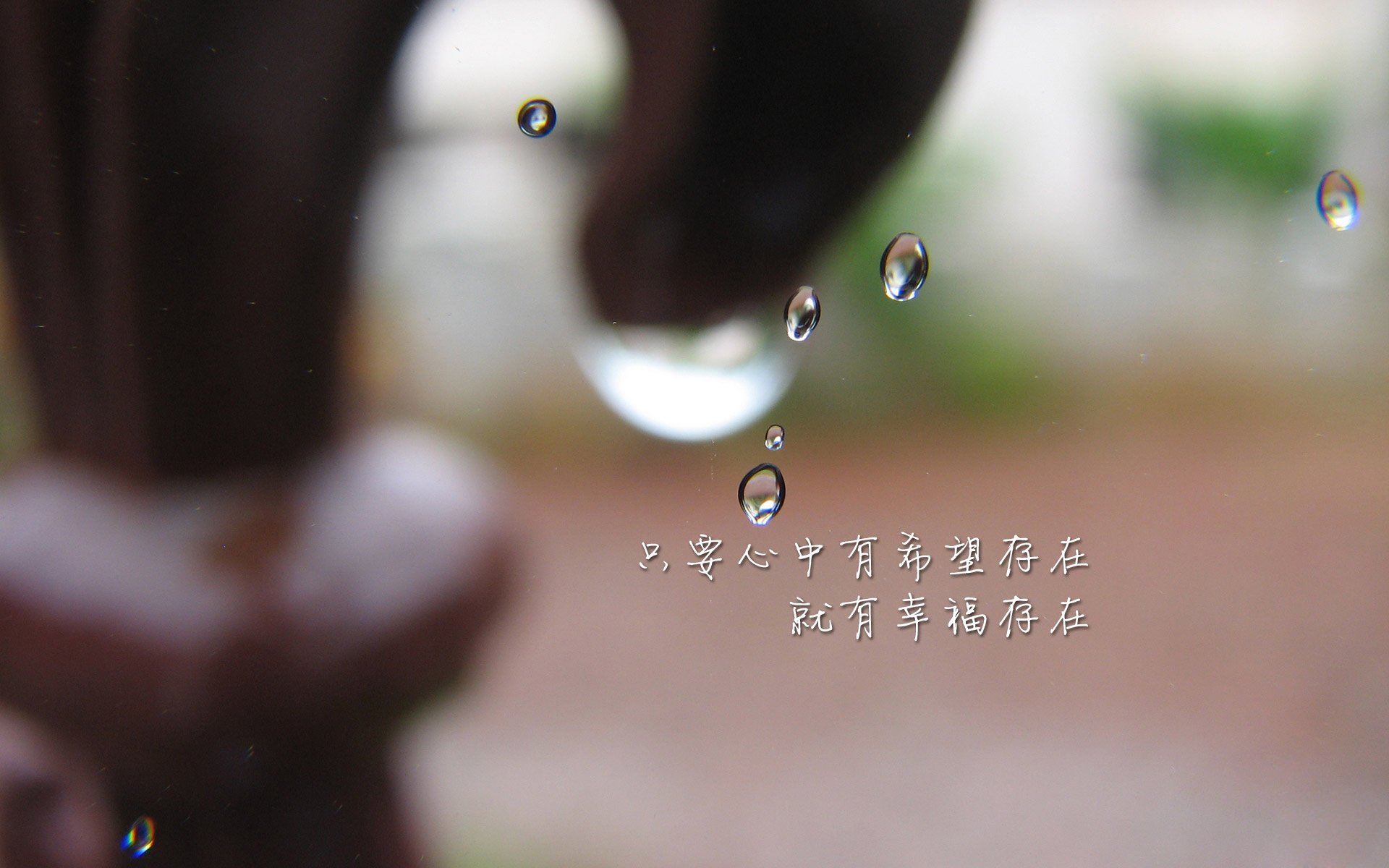 联盟是否应给予球员更多公益自主空间，名记_联盟向各队告知限制球迷不当行为新措施