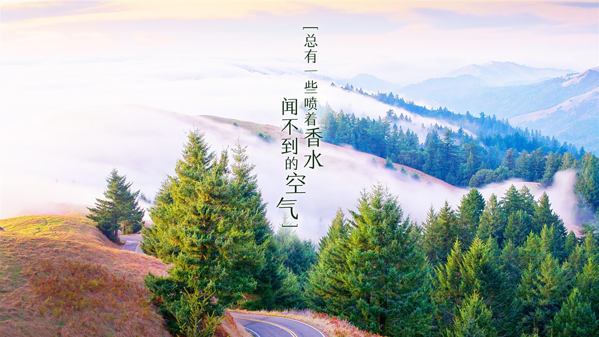 西班牙国家队击败波兰，欧洲杯小组晋级前景好，西班牙国家队欧洲杯战绩