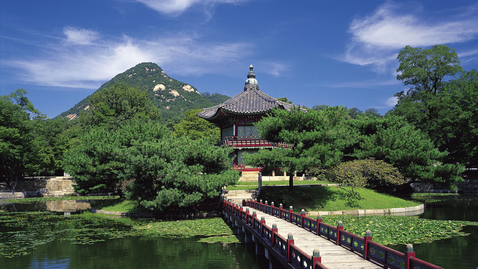 明日之星：青训基地中的硬核培养计划，明日之星竞赛