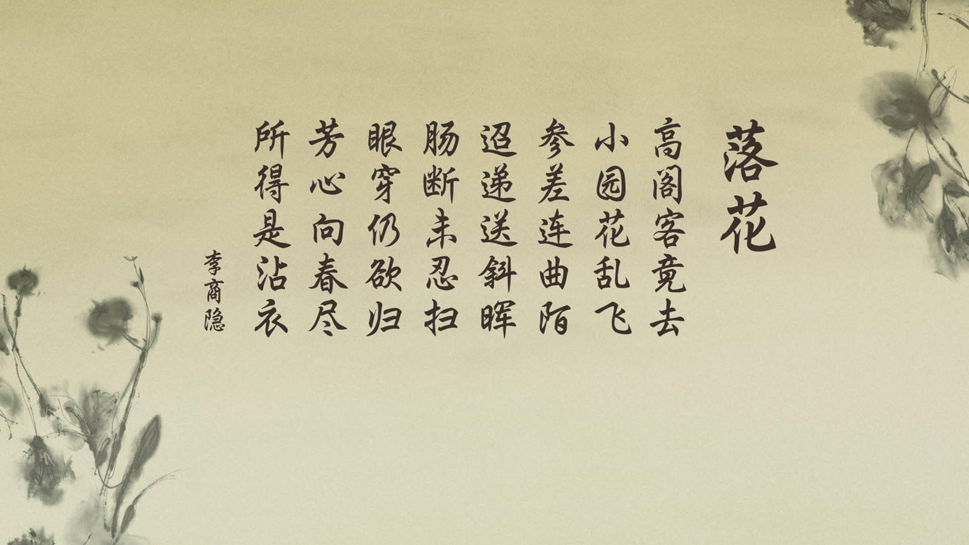 弗朗索瓦·霍尔茨豪伊泽：全能表现助力南非队迎接挑战，成就攻防双全