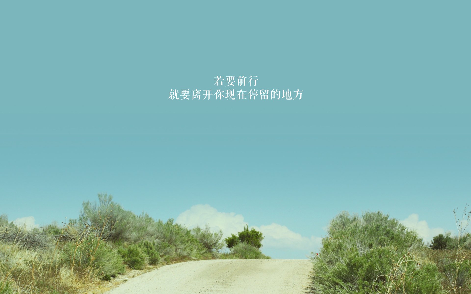 马修·图穆亚展现出极强的突破和传球能力，令袋鼠队攻防更具层次感