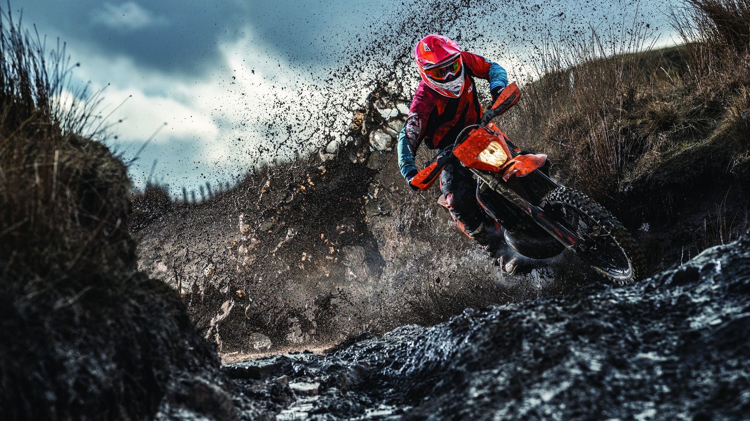 _奇才队战术新颖，胜利在望_，奇才队伍