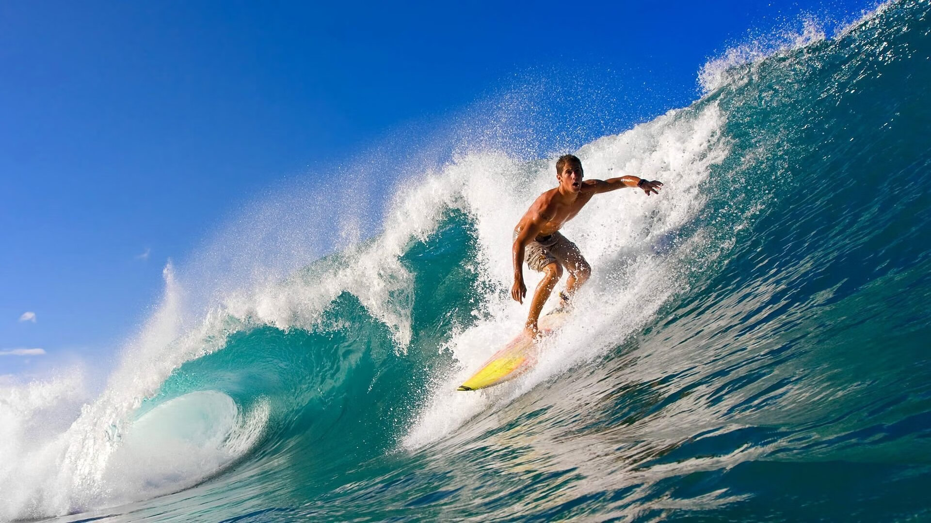 _快船迎战强敌，团队配合令人称赞_，快船全队